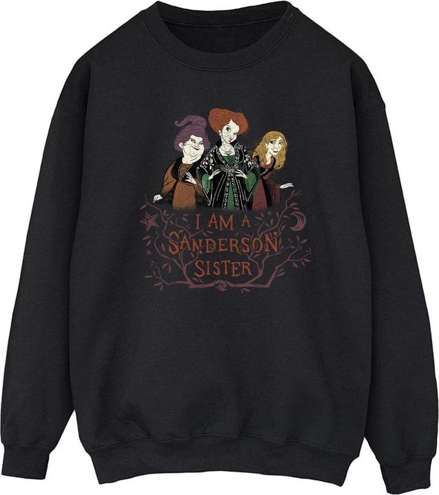 Image du produit Disney - Sweat HOCUS POCUS SANDERSON SISTER - Homme (XXL)