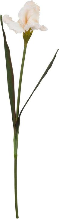 Immagine prodotto Hill Interiors The Natural Garden Collection Iris Frangiato Fiore Artificiale (83 cm)