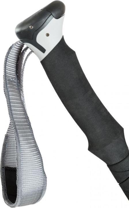 Actual product image Trespass STRYDER - 2 PC WALKING POLE SET (black, EACH, BLK) (135 cm)