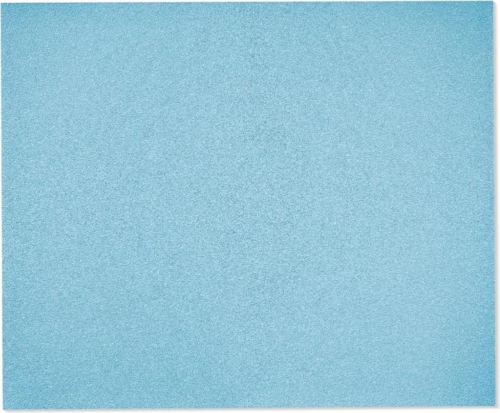 Actual product image Festool Sandpaper (P120)
