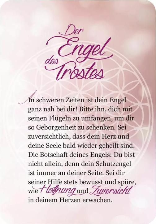 Actual product image An angel for every day (German)