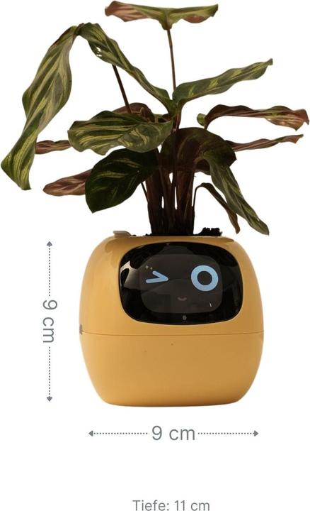Image du produit Hermex Pot de fleurs électronique Pot de fleurs intelligent (11 cm)