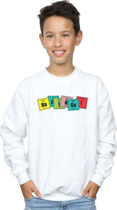 Image du produit Dam - Sweat BAZINGA ELEMENTS - Garçon (140, 146)