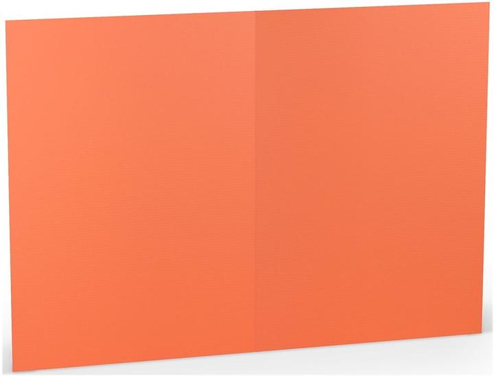 Actual product image Paperado Double card A5 high PU=5 pieces Coral (5 pcs.)
