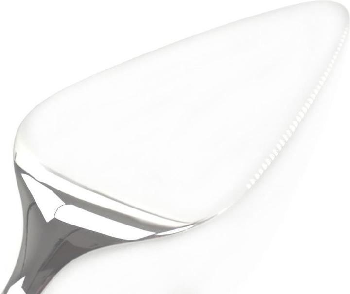 Actual product image WMF Cake lifter (Cake server)
