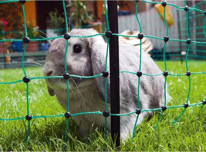 Actual product image AKO Electric fence rabbit net