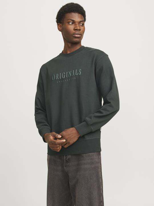 Actual product image Jack & Jones Printed sweatshirt Sweatshirt (XS)