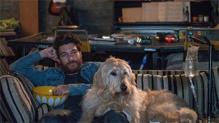 Immagine prodotto Plaion Dog Days - Cuore, cane, happy end! (Blu-ray, 2019, Tedesco)