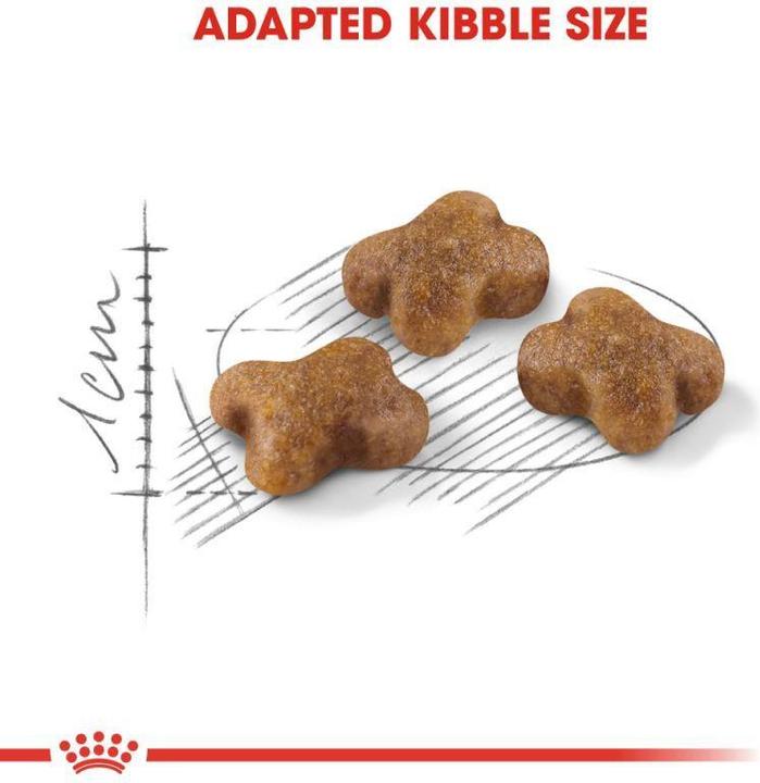 Actual product image Royal Canin Kitten 36 (Junior, 1 pcs., 2000 g)