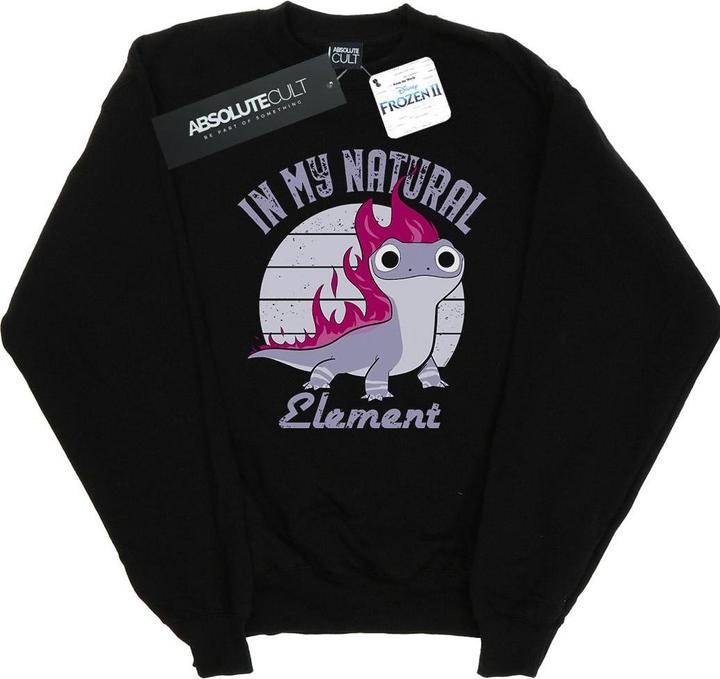 Image du produit Disney - Sweat FROZEN SALAMANDER BRUNI ELEMENT - Homme (3XL)