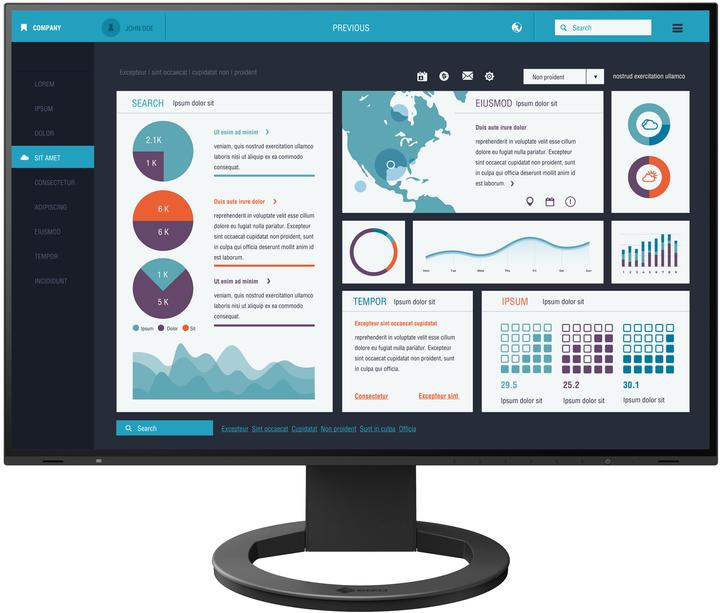 Eizo EV2495 FlexScan (1920 x 1200 Pixel, 24")