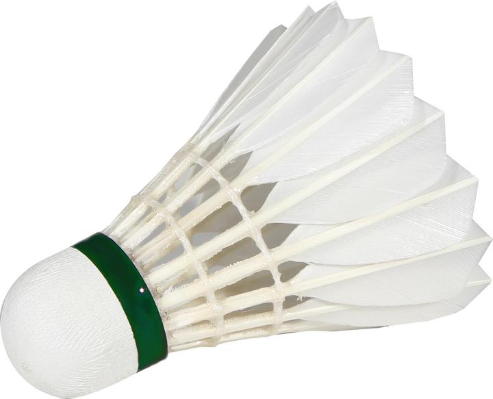 Actual product image Victor Badminton balls Pro Court