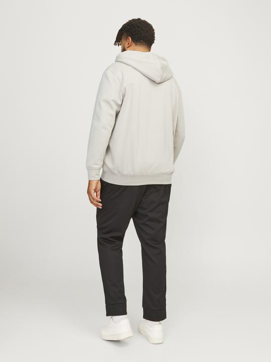 Actual product image Jack & Jones Jorvesterbro Sweat Zip Hood Noos Pls (XXL)