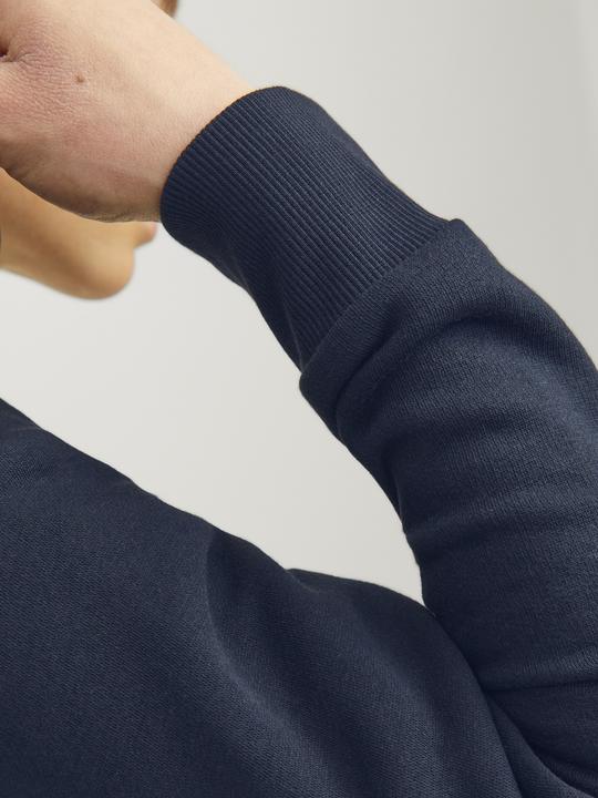 Actual product image Jack & Jones JJELOGO SWT ZIP HOOD 2COL 24/25 NOOS MNI (122)