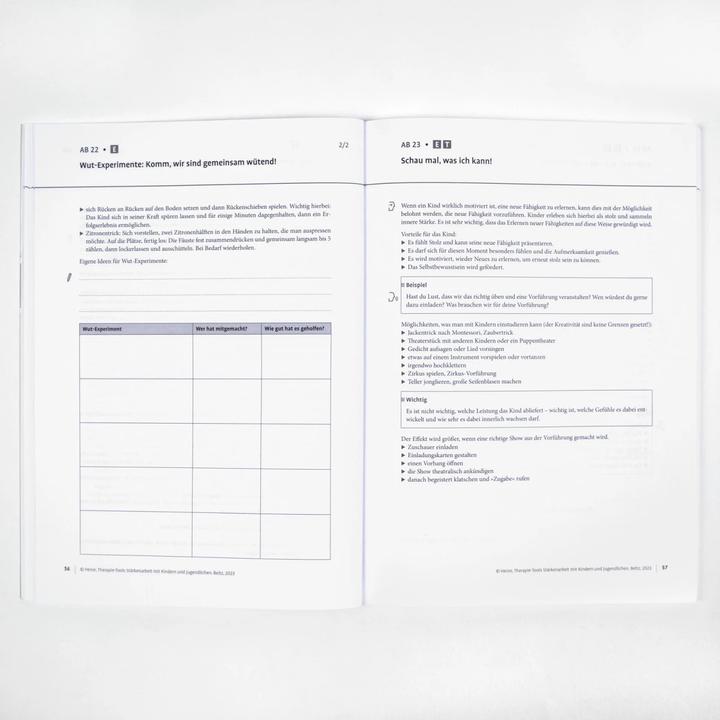 Image du produit Therapie-Tools Stärkenarbeit mit Kindern und Jugendlichen (Allemand, Hannah Heine, 2023)