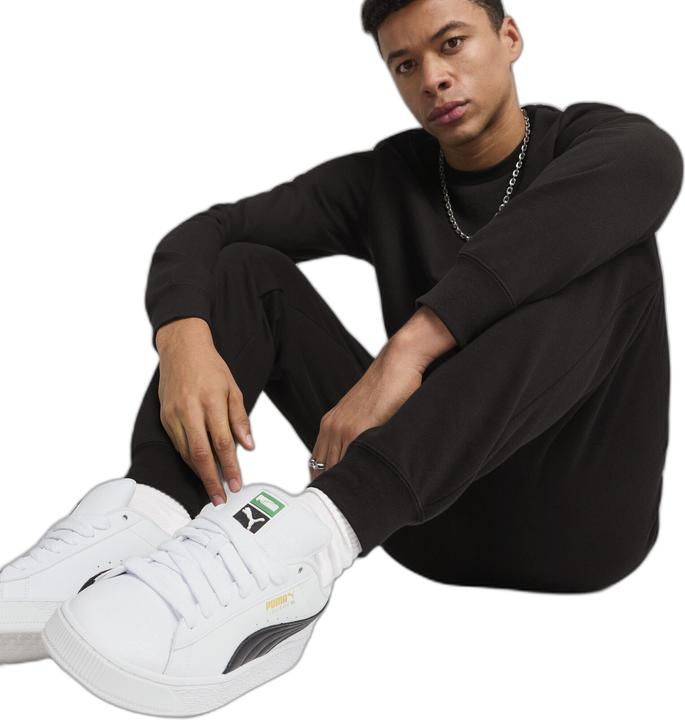 Image du produit Puma ESS No. 1 Logo Sweatpants FL cl (XXL)
