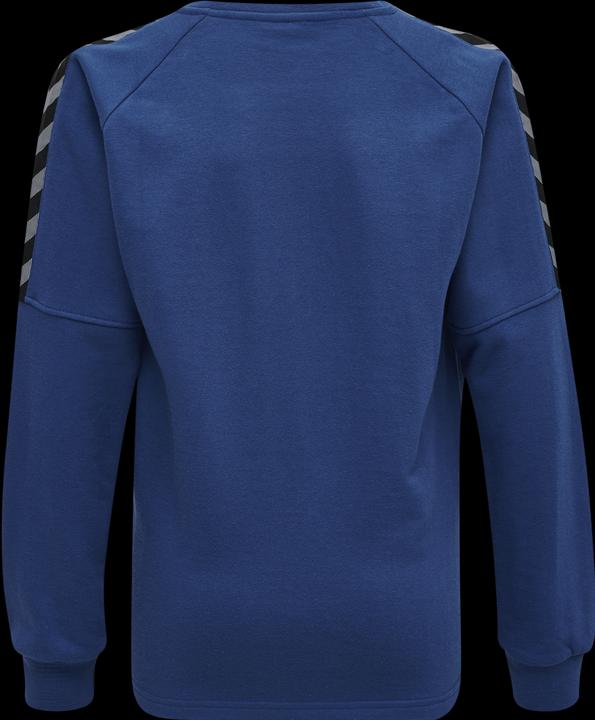 Image du produit hummel Authentique Sweat D'Entraînement Pour Enfants (176)