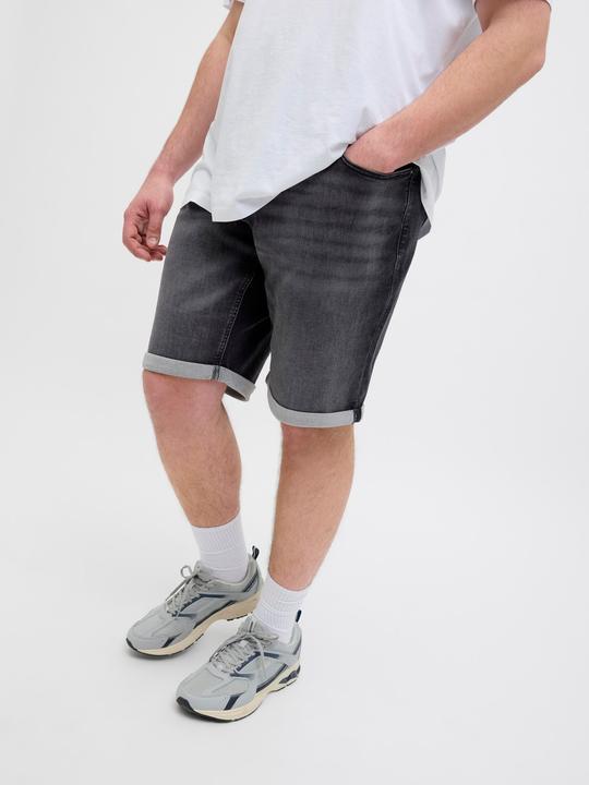 Image du produit Jack & Jones JJIRICK JJICON I.K. SHORTS GE 062 SN PLS (46)