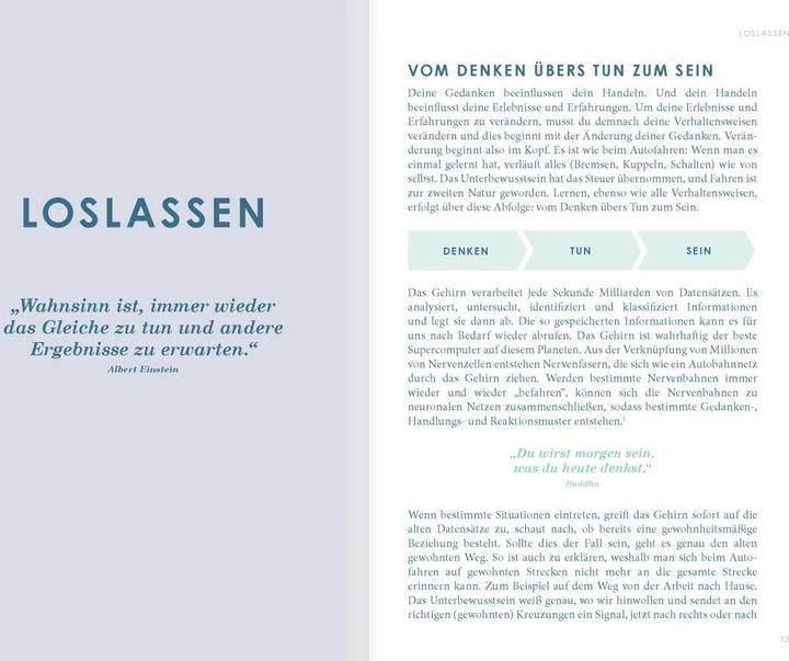 Image du produit The New You mint) - Das Buch, das dein Leben verändert (Allemand, Iris Reiche, 2024)