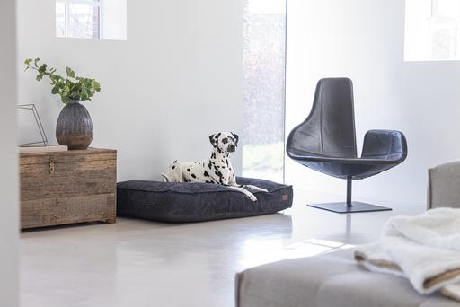 Actual product image Designed by Lotte Ribbed Cushion (Dog)