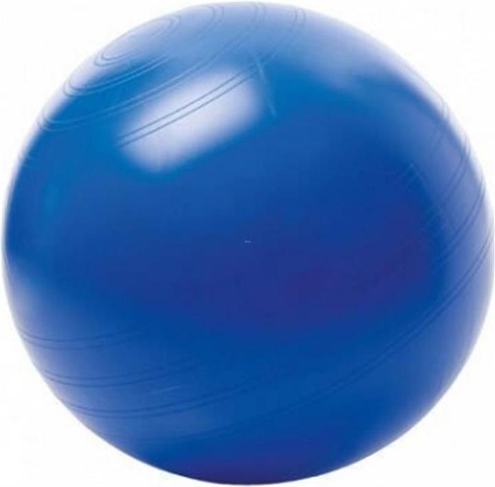 Immagine prodotto Togu Palla a sedere (55 cm)