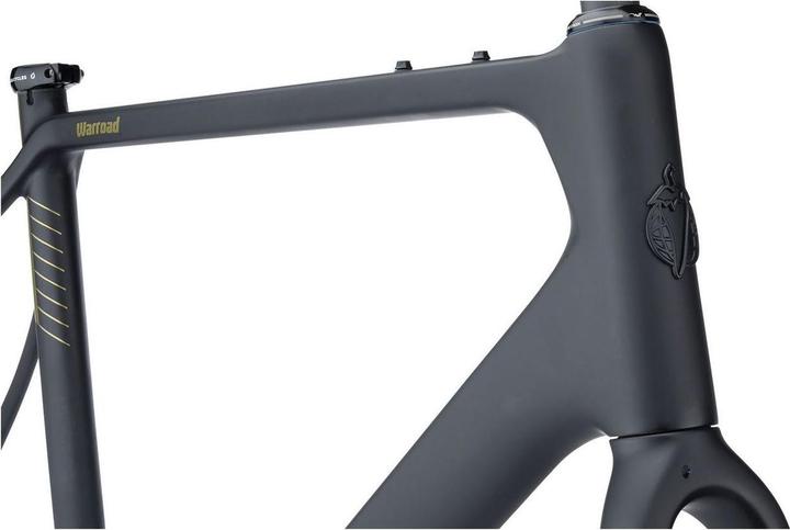 Actual product image Salsa Warroad Carbon Allroad frame kit, 650B/700C, 59cm, black