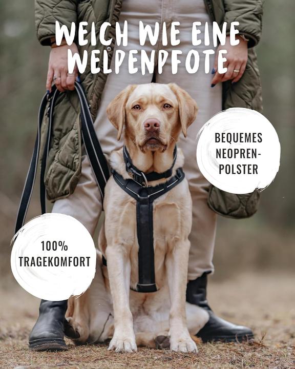 Produktbild Rudelkönig Hundegeschirr Paola mit Reflektoren und Haltegriff (S, Hund, Spazieren, Allgemein)