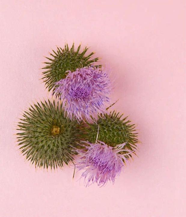 Produktbild NIVEA Naturally Good (50 ml, Nachtcreme)