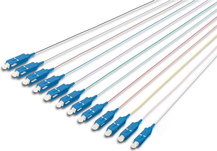 Digitus SC Fiber Pigtail Loose Buffer 09/125 m 12 Pcs. Farben code DIN IEC 304 Singlemode OS2 Länge 2m (CAT6, 2 m)
