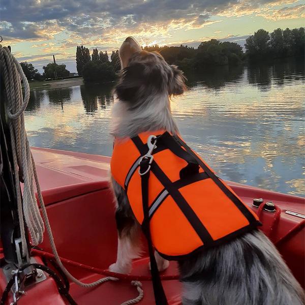 Produktbild Nobby Hunde Schwimmhilfe (40, Hundeschwimmweste)
