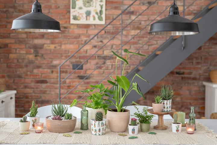 Actual product image Scheurich Flowerpot 866 (18.80 cm)