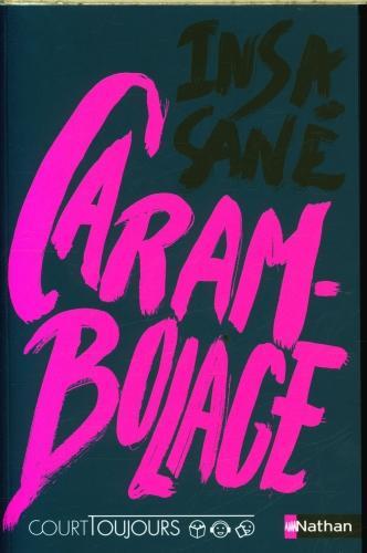 Actual product image Carambolage (French, Sané Insa, 2023)