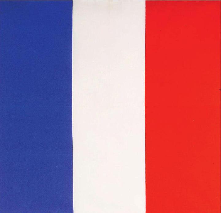Image du produit Widmann Bandana Frankreich