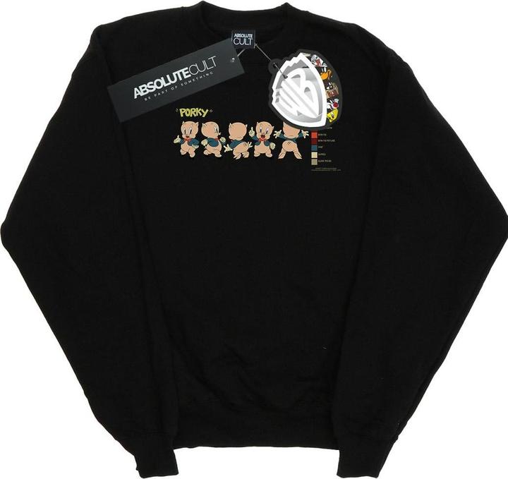 Produktbild Looney Tunes Porky Pig Colour Code Sweatshirt (XXL)