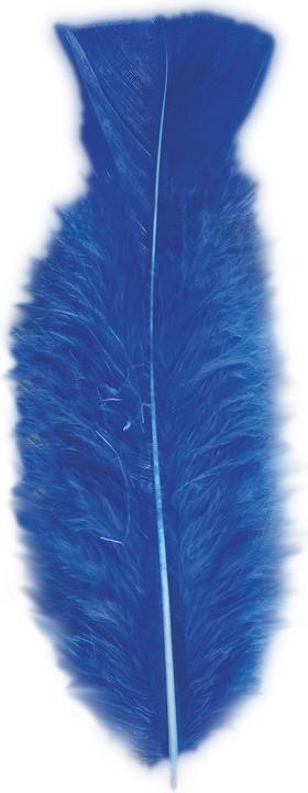 Image du produit Widmann Dekofedern