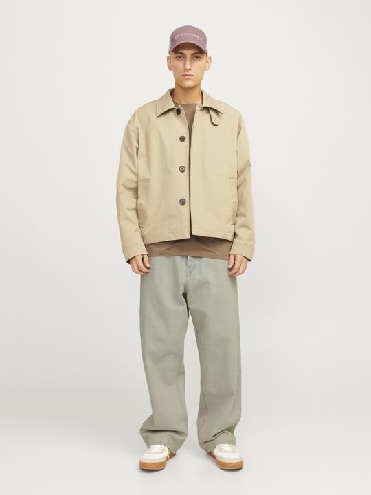 Image du produit Jack & Jones JJIRON JJCLASSIC SBD 265 Jeans Baggy Fit Jeans Baggy Fit (W33/L32)