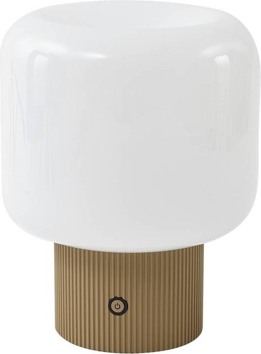 Image du produit Lucande Katrin Palme (460 lm)