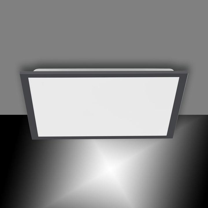 Produktbild Paul Neuhaus Flat (2500 lm)