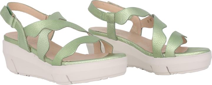 Image du produit Wonders Max (40)