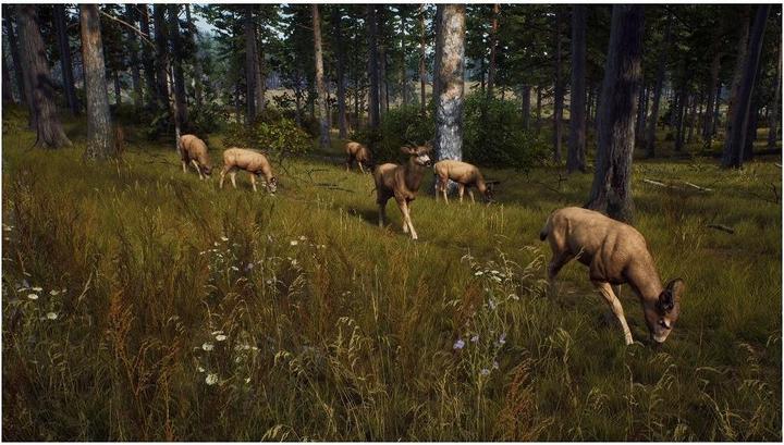 Immagine prodotto THQ La via del cacciatore: Caccia Stagione 1 PS-5 (PS5, DE)