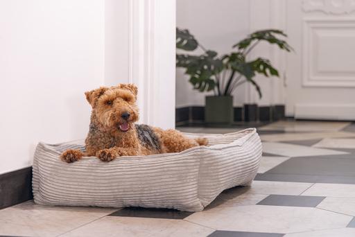 Actual product image Designed by Lotte Ribbed divan bed (Dog)