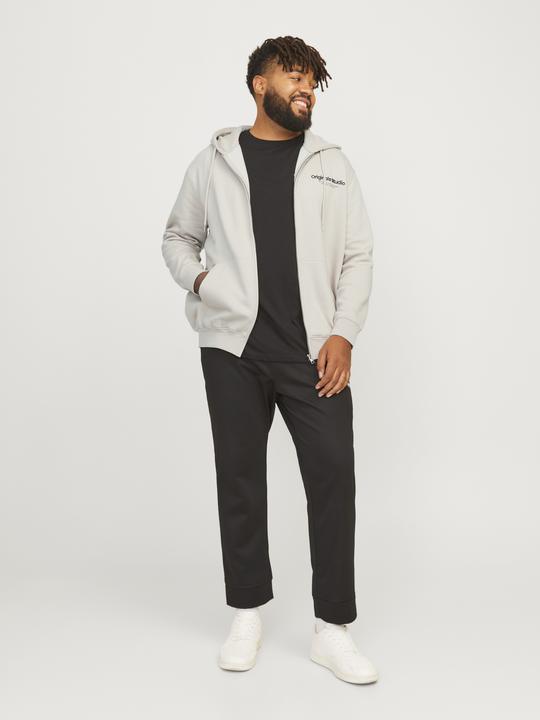 Actual product image Jack & Jones Jorvesterbro Sweat Zip Hood Noos Pls (XXL)