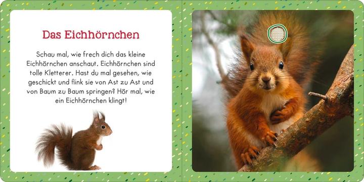 Actual product image Sound book for little ones - Favourite animals (German)