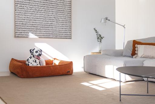 Produktbild Designed by Lotte Ribbed (Hund)