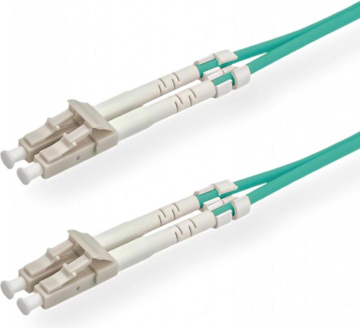 Roline Câble de réseau (PVC, CAT6, 2 m)