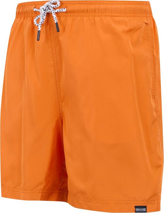 Actual product image Regatta Mens Mackleyna Swim Shorts (XXL)
