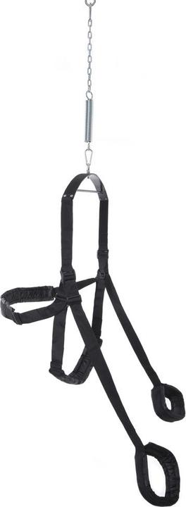 Actual product image Pipedream Fantasy Swing