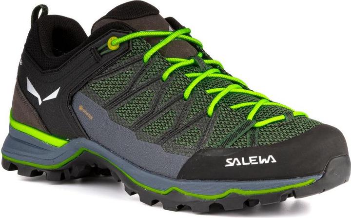 Image du produit Salewa Chaussures MTN Trainer Lite GTX (46)