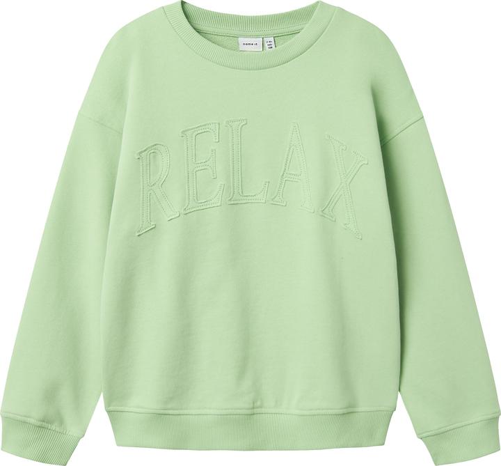 Name it Regular Fit Sweatshirt (116)