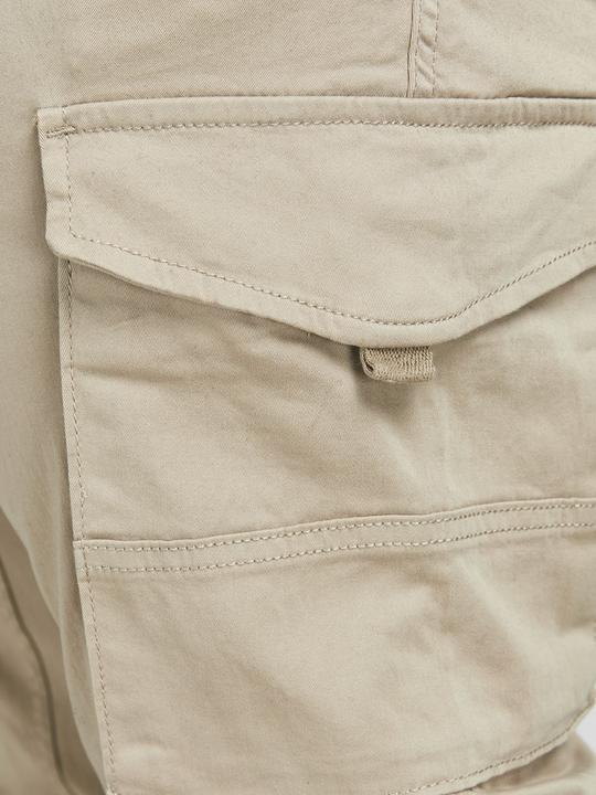 Image du produit Jack & Jones Paul Flake AKM 542 Pantalon Cargo Plus Size (42)